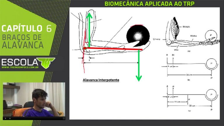 Treino Em Foco Personal Trainer Muscula o Cursos Online 