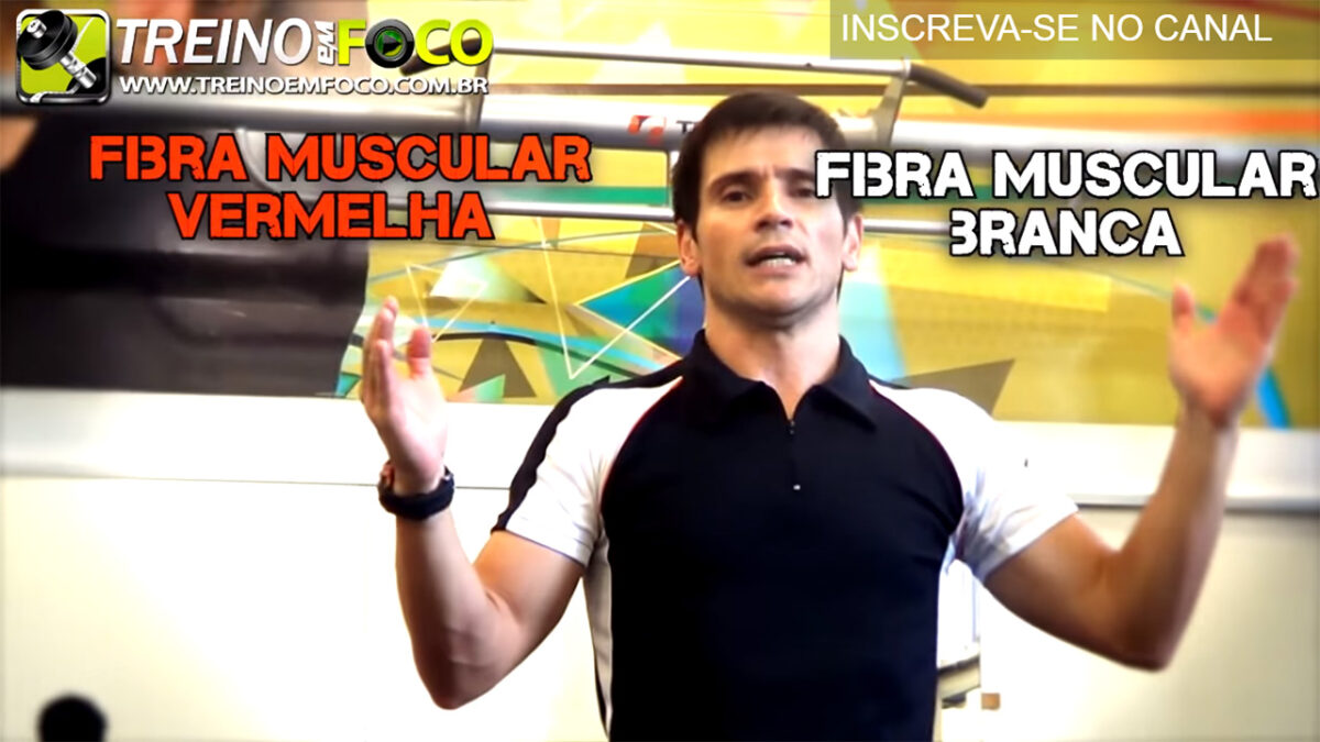 fibra_musccular_fibra_vermelha_fibra_branca_treino_em_foco_tipos_de_fibra_muscular