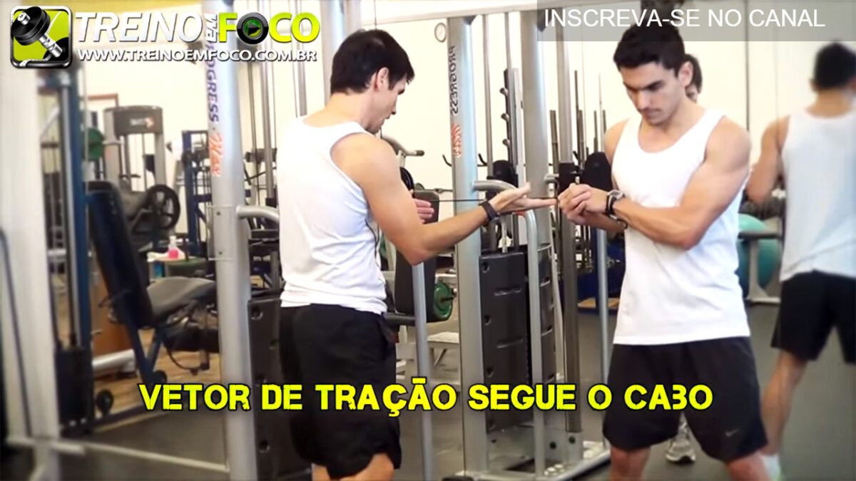 vetor_exercício_obliquos_rotação_crossover