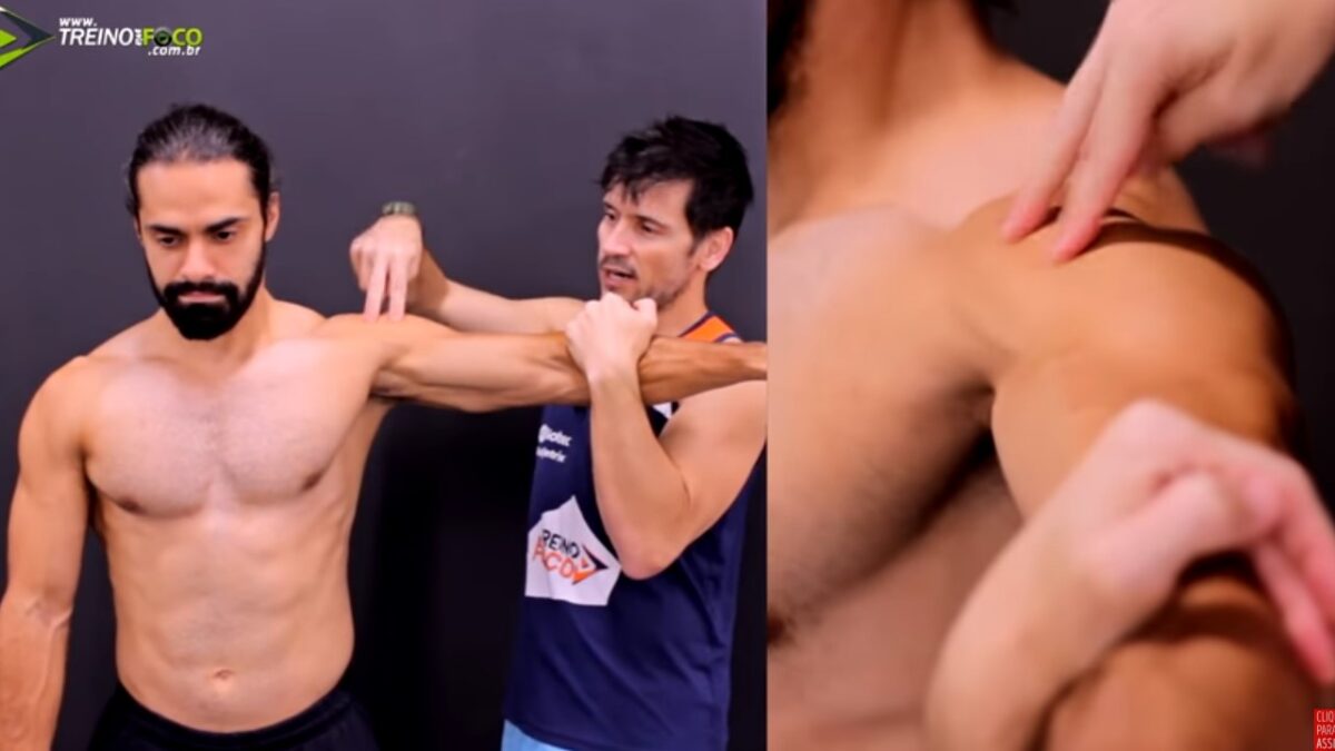 Treino_em_foco_anatomia_deltoide