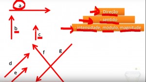 cinesiologia_vetor_vetores_aplicação