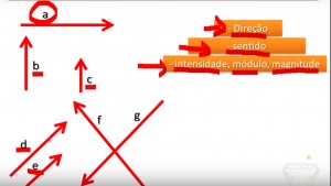 cinesiologia_vetor_vetores_cinesioloia _vetorial