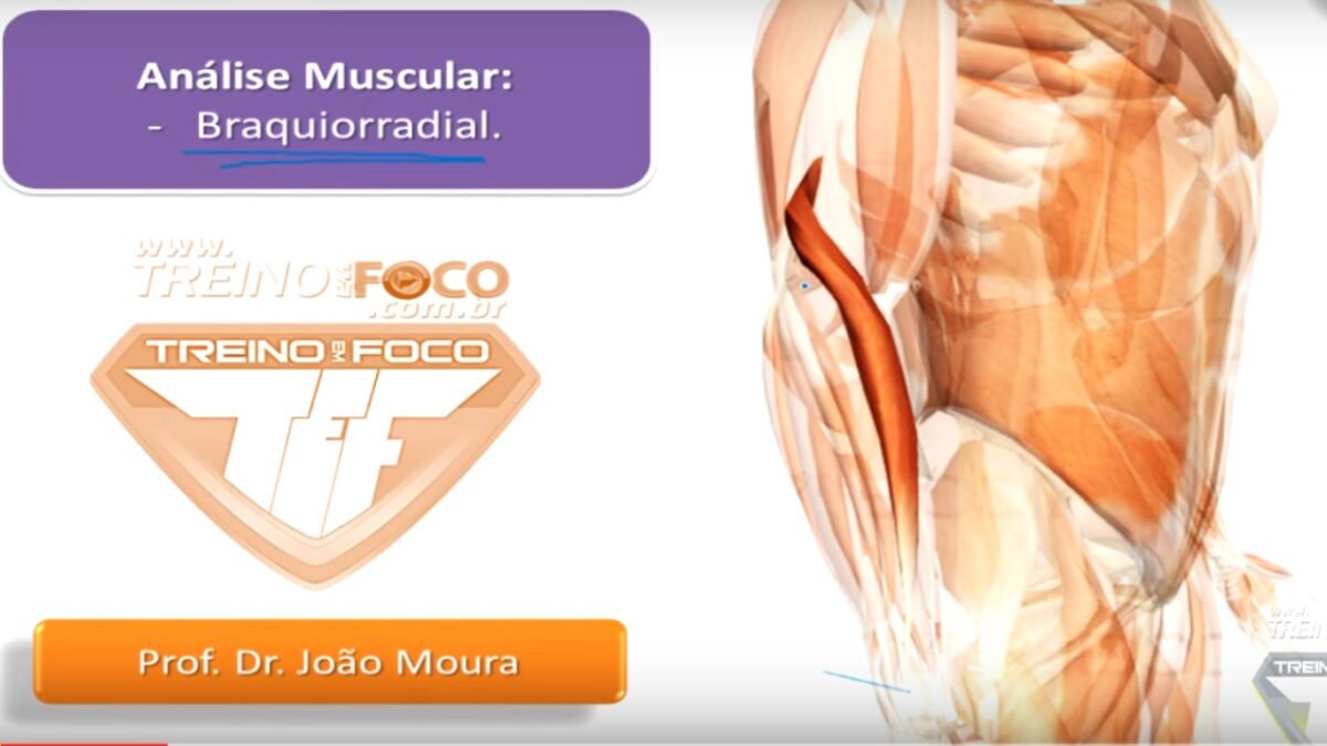 braquiorradial_músculo_anatomia