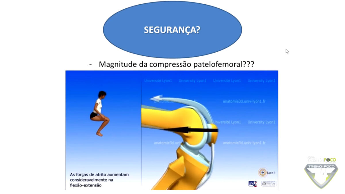 flexão_nordica_compressão_patelofemoral_treino_em_foco