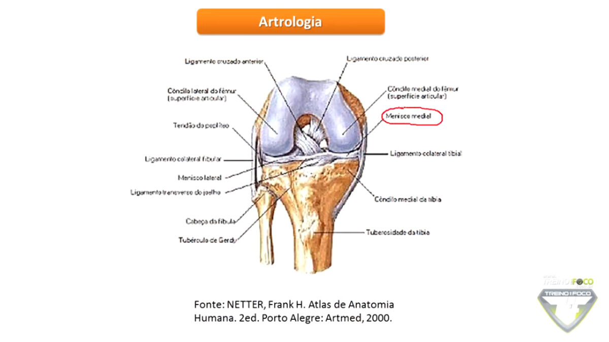 avaliação_postural_treino_em_foco_biofotogrametria_joelho_varo