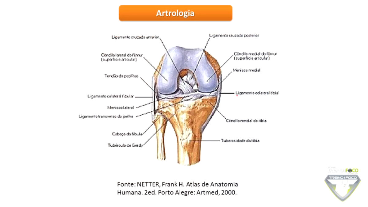 joelho_valgo_avaliação_postural_treino_em_foco_