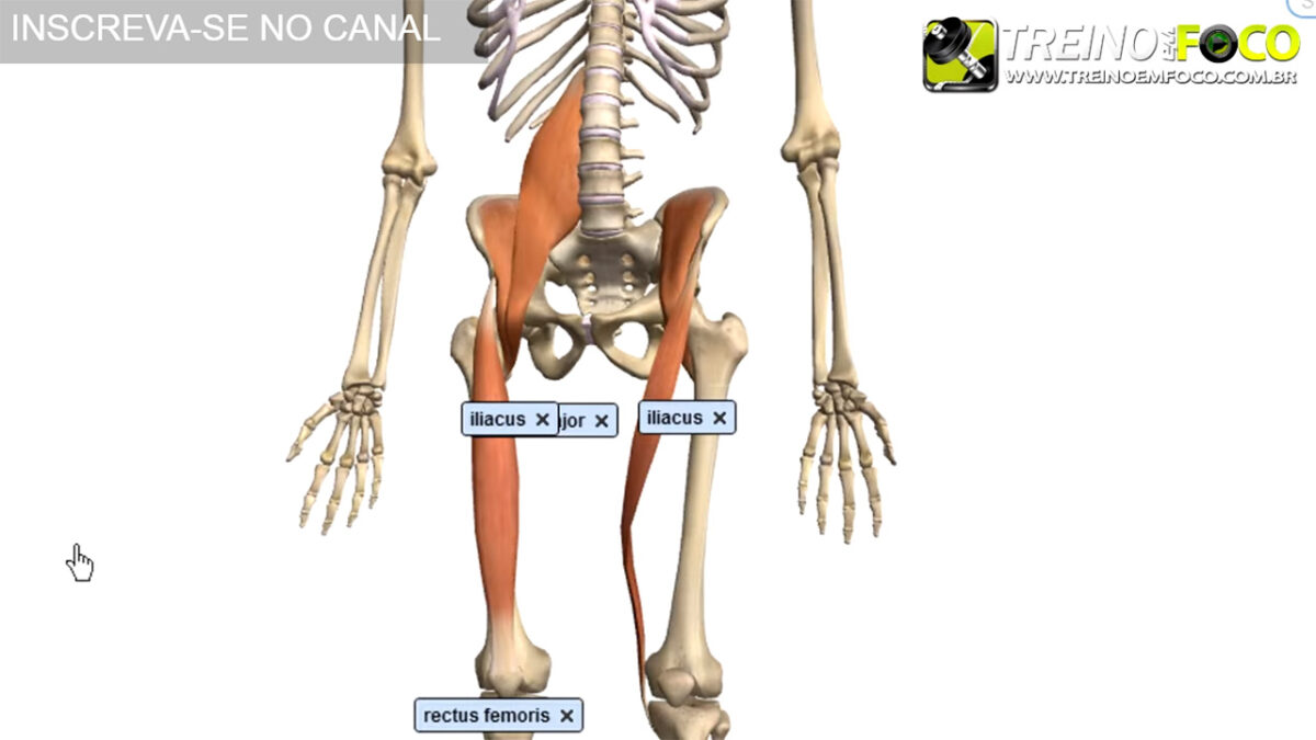 treino_em_foco_flexores_do_quadril_hiperlordose_lombar