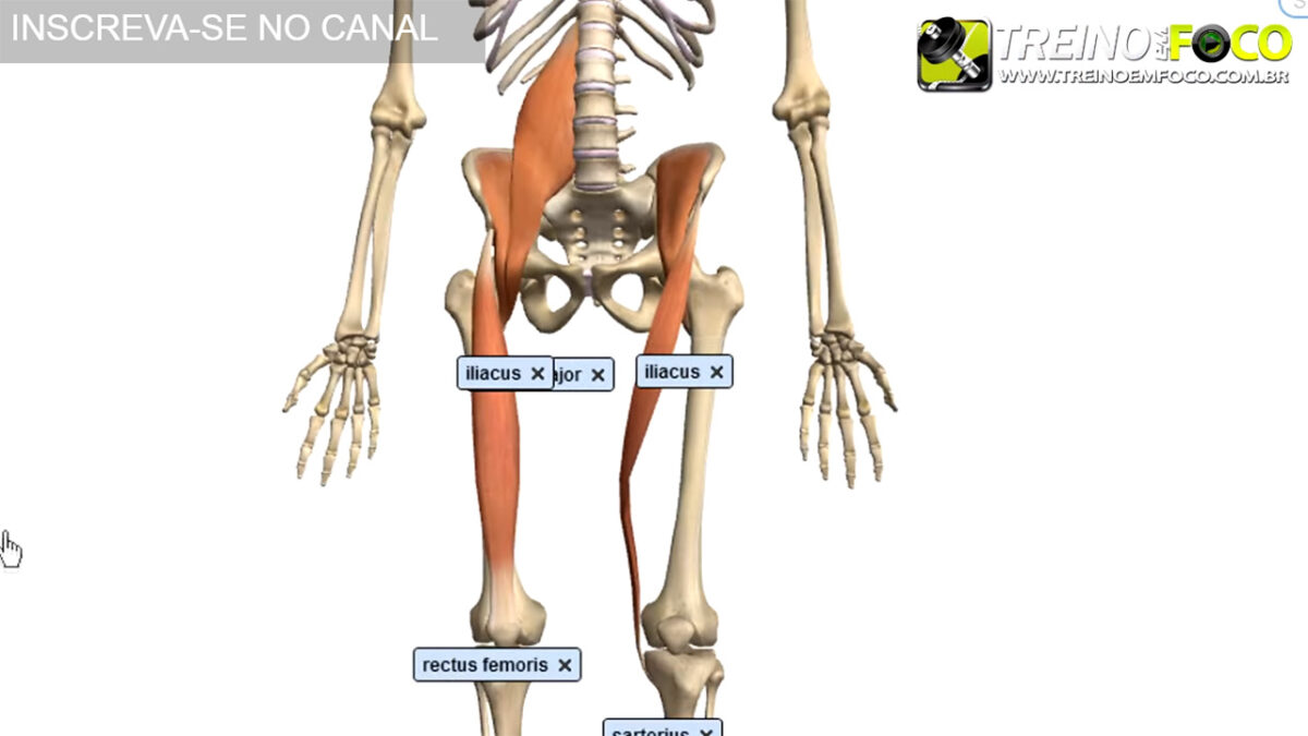 flexores_do_qaudril_treino_em_foco_alongamento_flexionamento