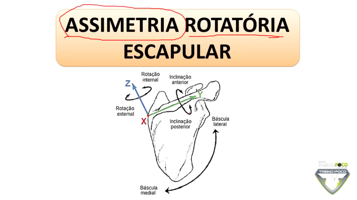 biofotogrametria_assimetria_rotatória_das_escápulas_treino_em_foco