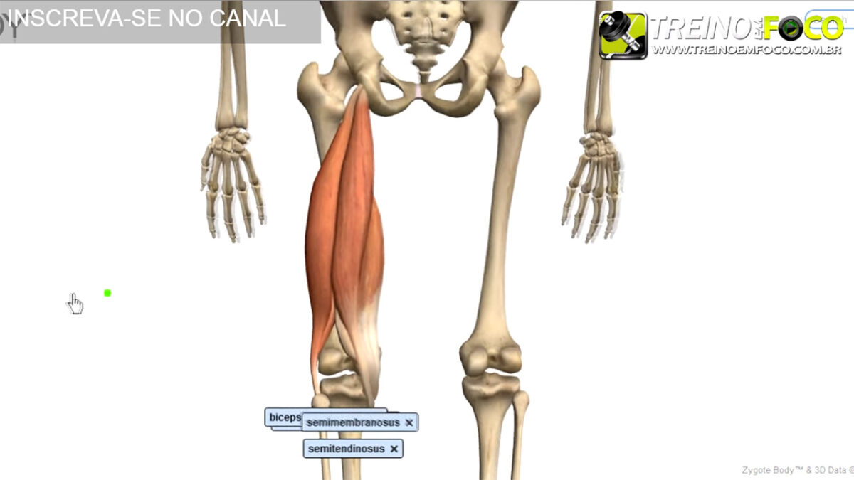 treino_em_foco_alonagamento_flexionamento_isquiotibiais_