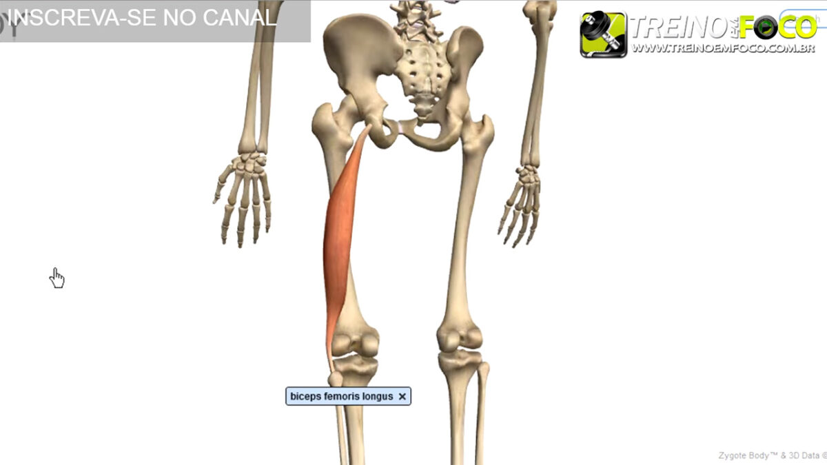 treino_em_foco_alongamento_isquiotibiais_flexionamento