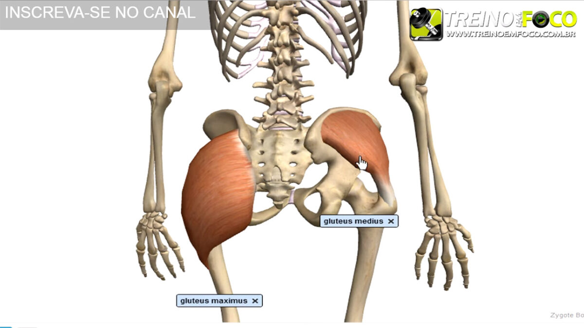 treino_em_foco_musculatura_do_glúteo_glúteo_médio_alongamento_flexionamento