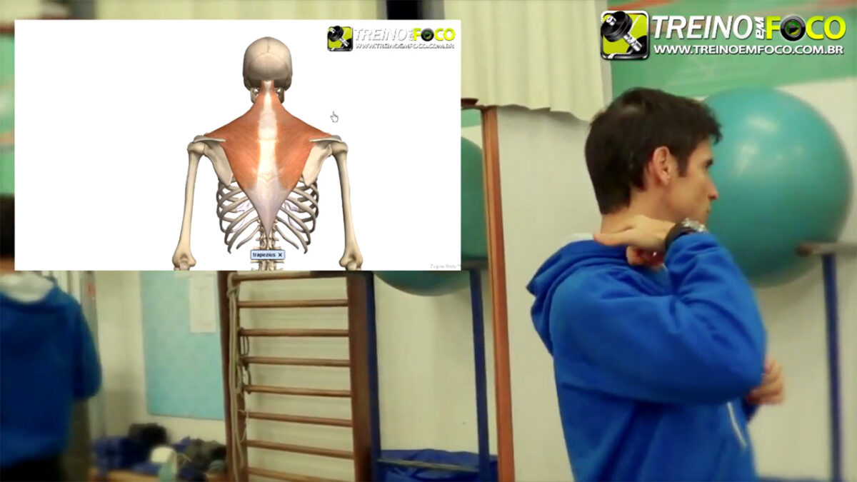 treino_em_foco_exercicios_alongamento_regiao_cervical_trapezio_superior