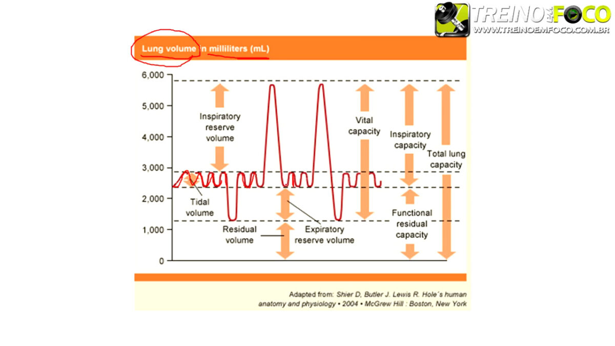 treino_em_foco_volumes_capacidade_pulmonares_ventilacao_pulmonar