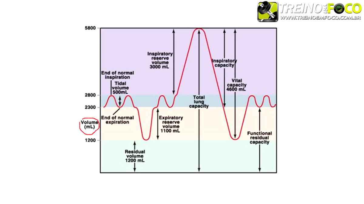 volumes_pulmonares_capacidade_ventilacao_pulmonar_respiracao_treino_em_foco