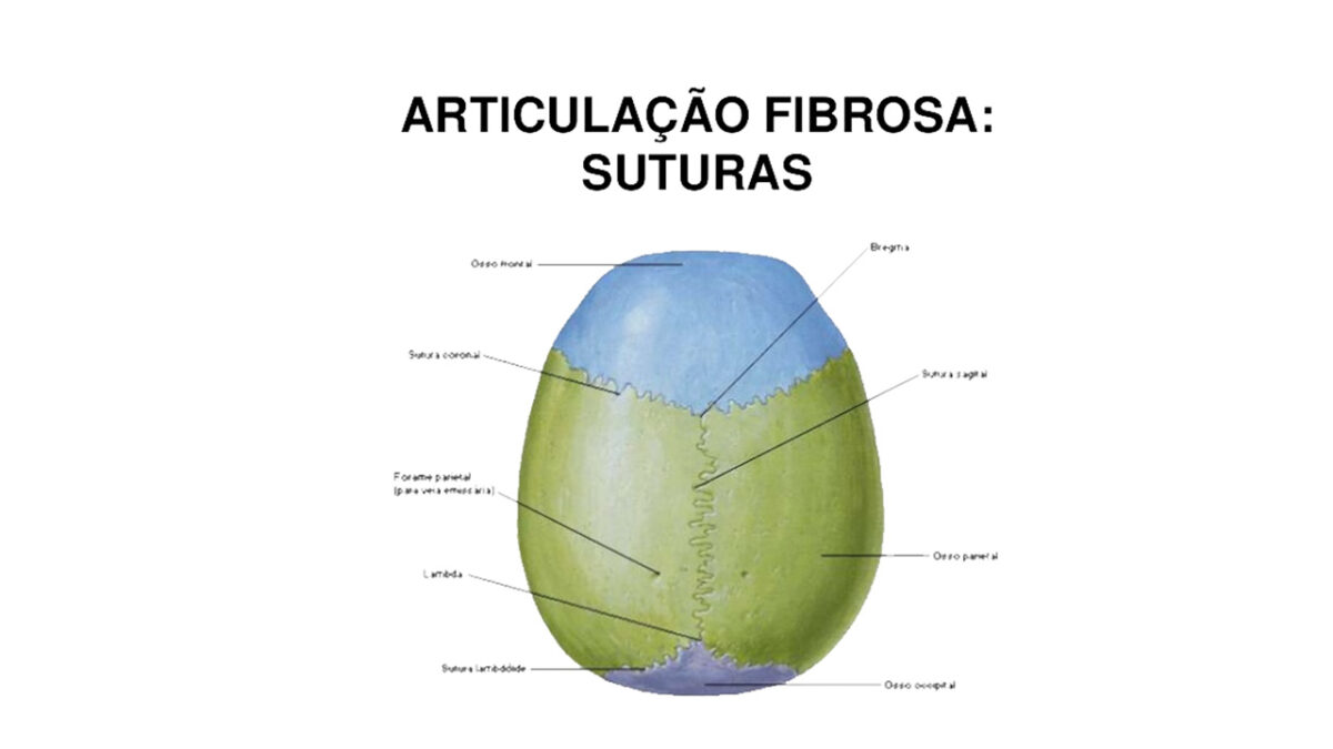 articulacao_fibrose_suturas_treino_em_foco