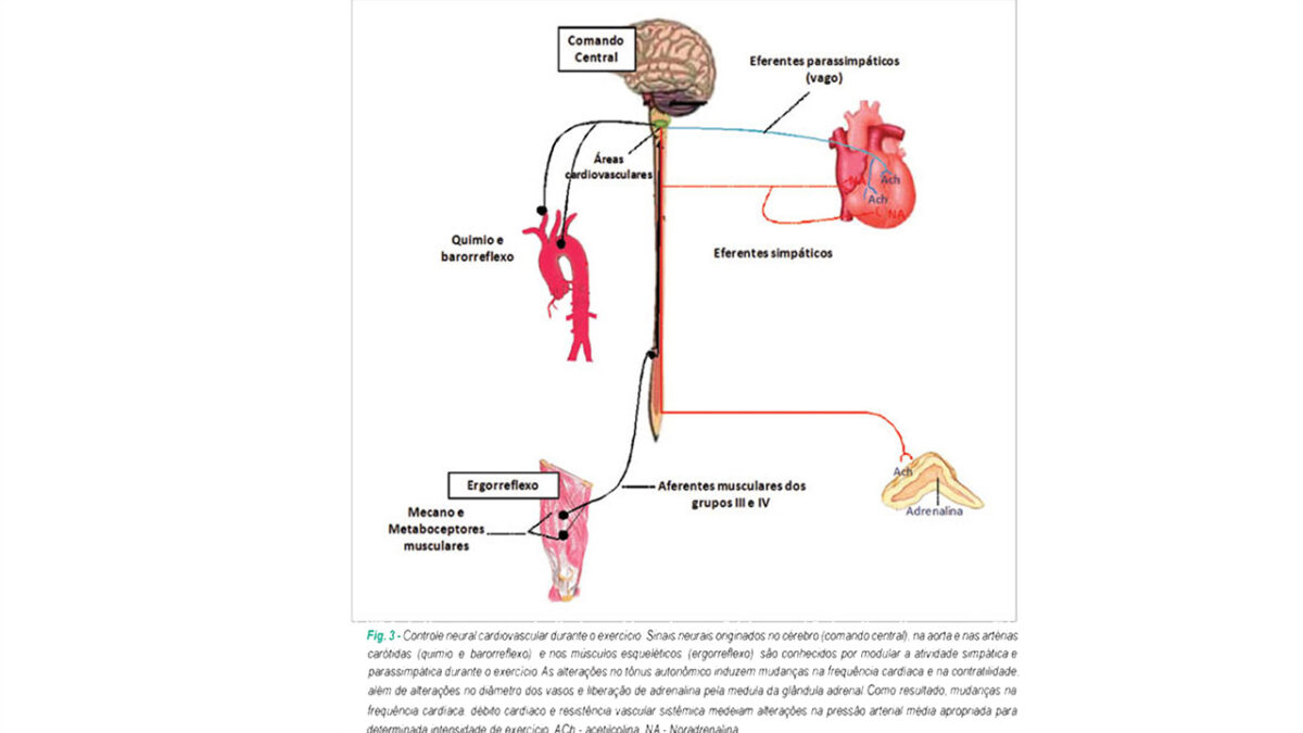 controle_frequencia_cardiaca_treino_em_foco_peso_corporal