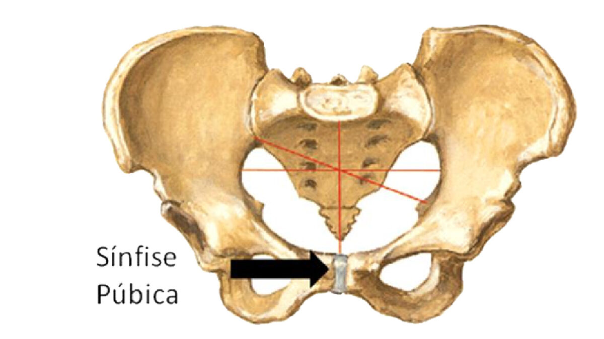 treino_em_foco_articulacao_sinfise_pubica