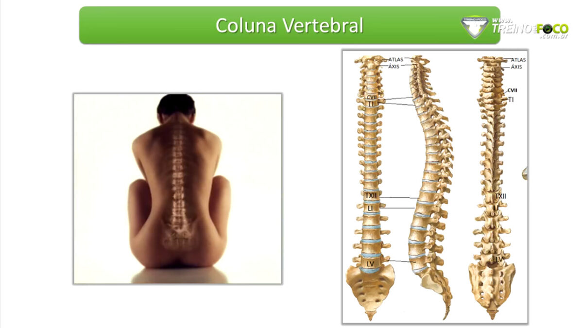 treino_em_foco_coluna_vertebral_lesao