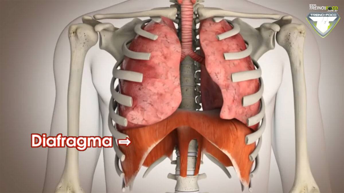 exercícios_abdominais_respiração_treino_em_foco