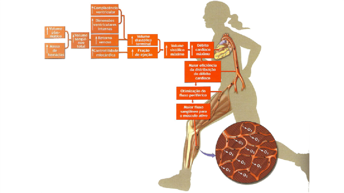 treino_em_foco_vo2max_adaptacoes