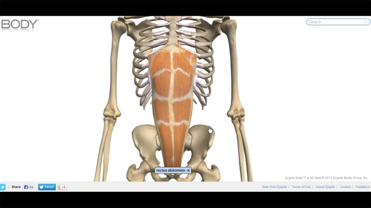 treino_em_foco_abdominal_no_solo_pelve