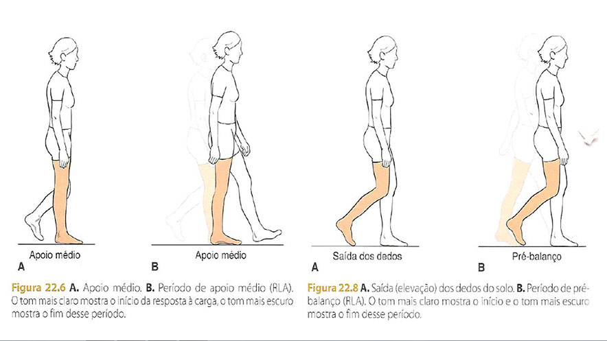 ciclo_da_marcha_fase_de_balanço_treino_em_foco