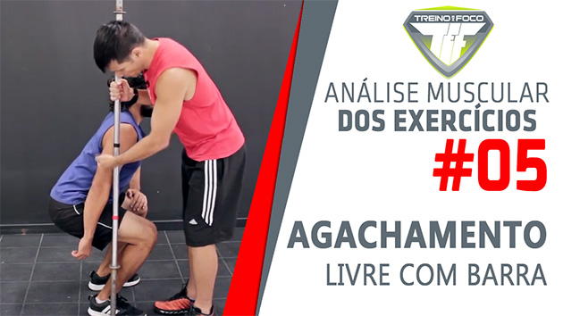 A importância do agachamento livre para ganhos musculares de outros membros