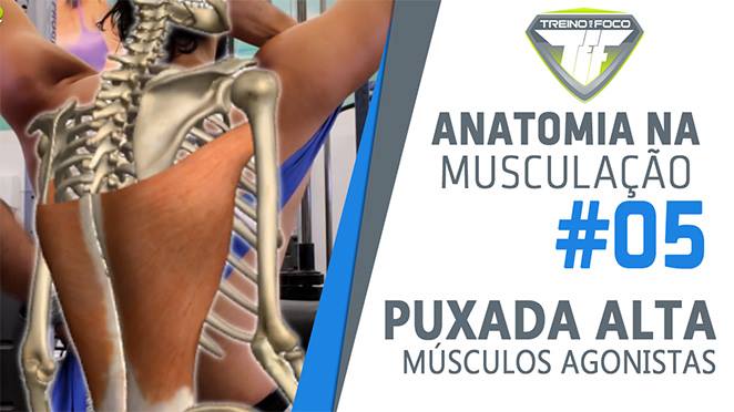 Treino Em Foco Personal Trainer Muscula o Cursos Online 