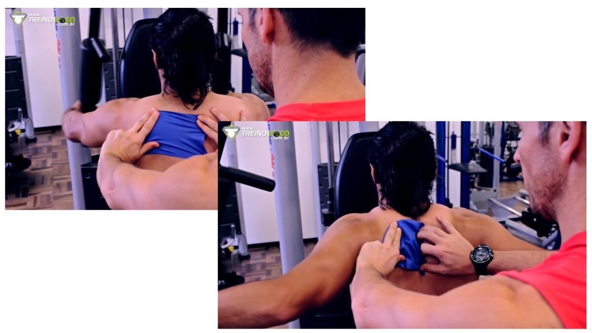 Posterior de ombro no voador invertido. #academia #musculação