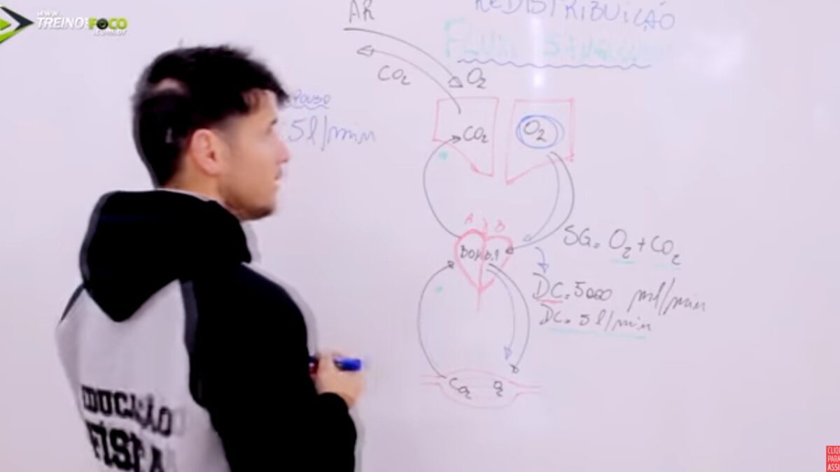 Treino_em_foco_redistribuição_do_fluxo_sanguíneo