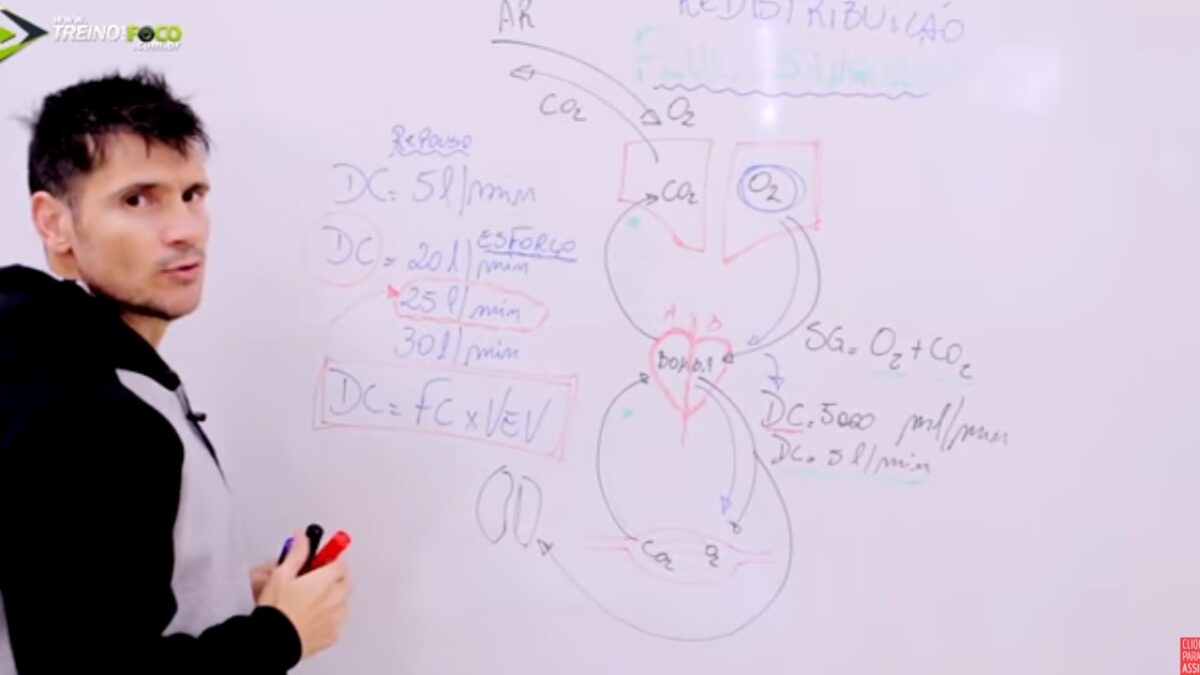 Treino_em_foco_redistribuição_do_fluxo_sanguíneo
