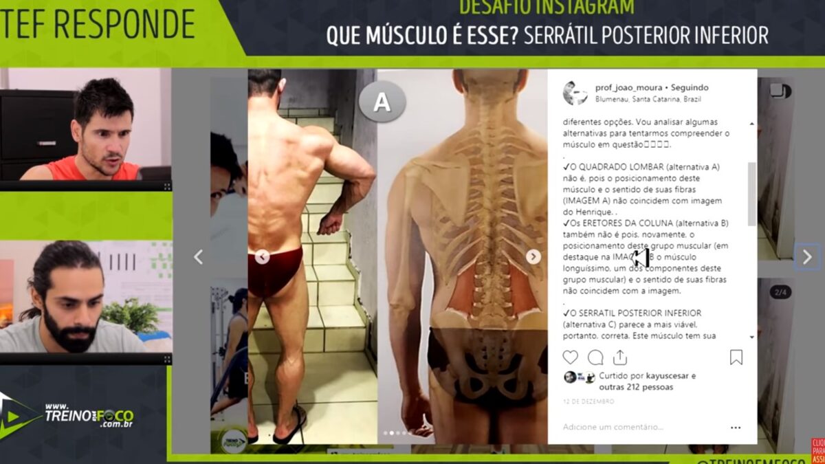 treino_em_foco_serratil_póstero_inferior