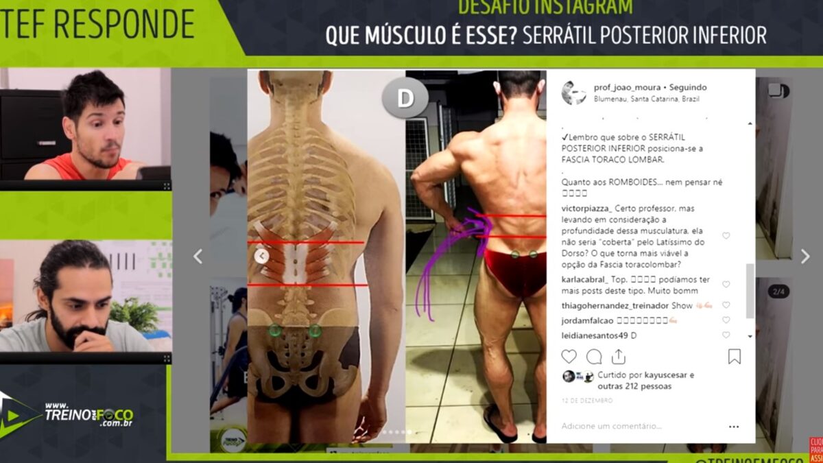 treino_em_foco_serratil_póstero_inferior