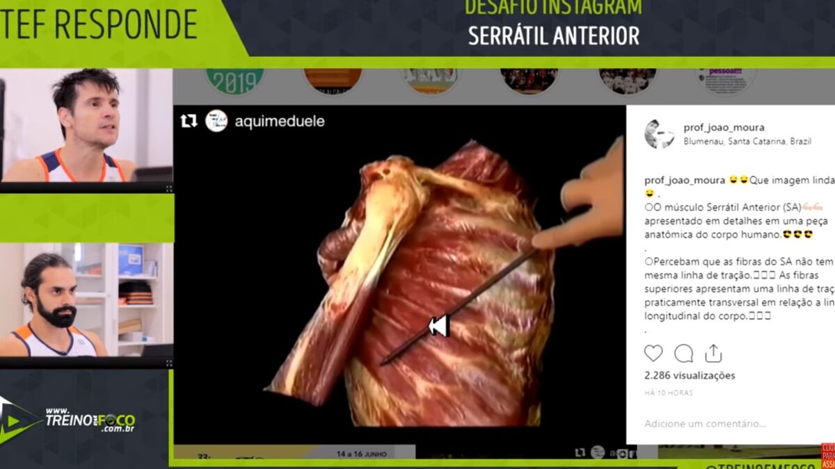 serratil_anterior_funções_treino_em_foco