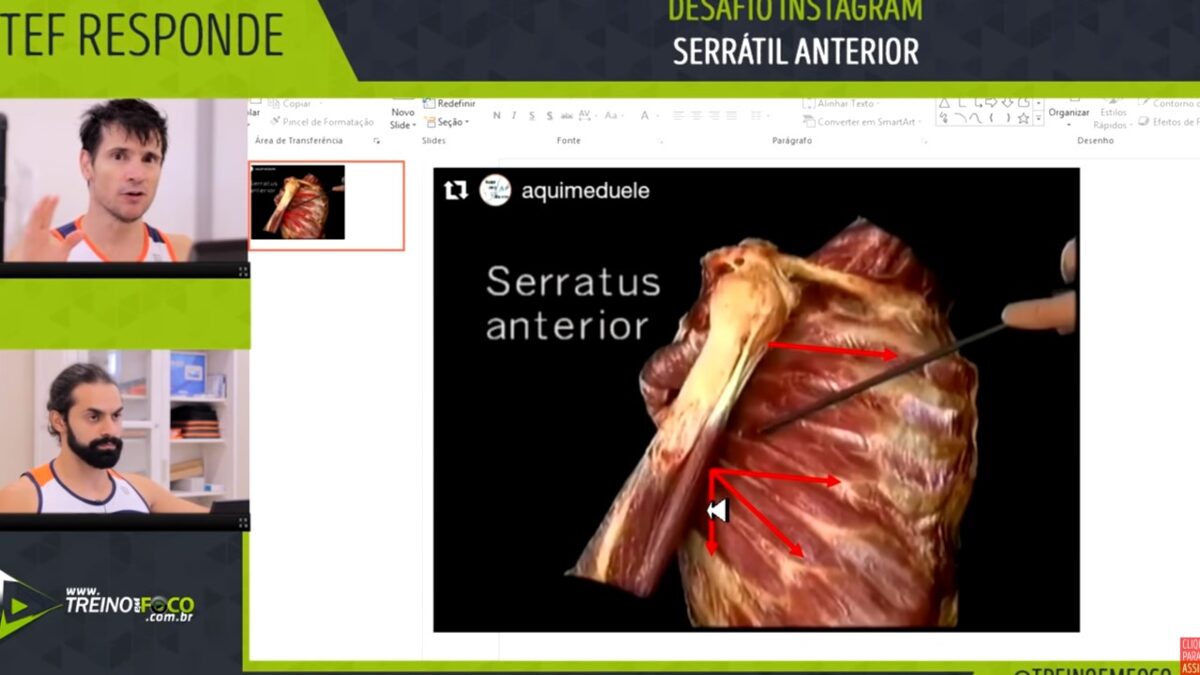 serratil_anterior_funções_treino_em_foco