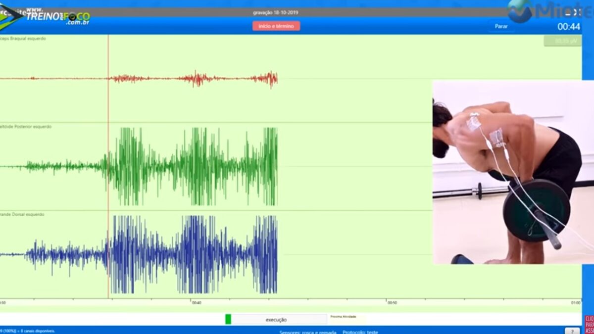 Treino_em_foco_remada_curvada_pegada_supinada_pronada_eletromiografia