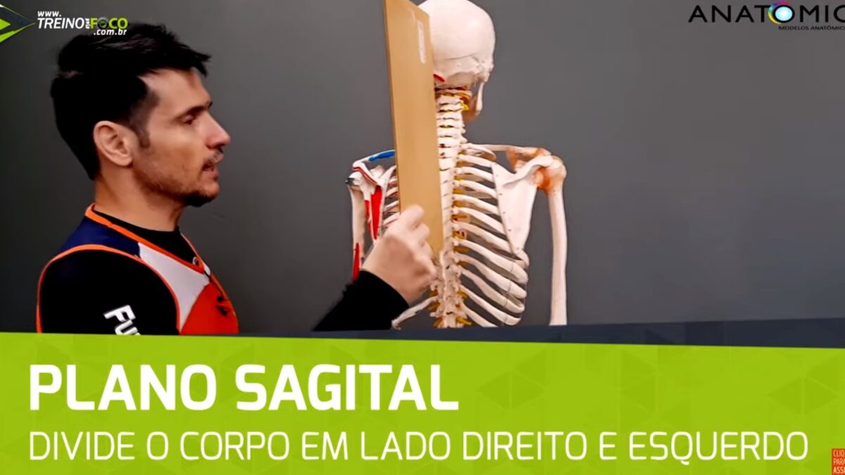 Treino_em_foco_plano_sagital_cinesiologia_anatomia