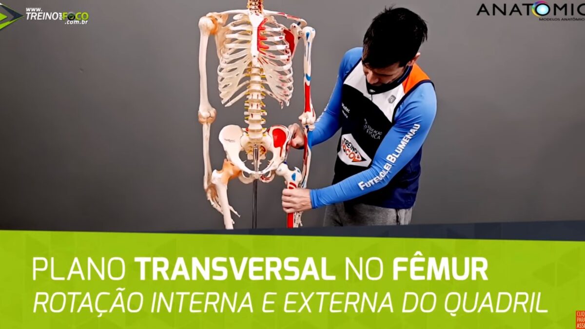 Treino_em_foco_plano_transversal_eixo_longitudinal