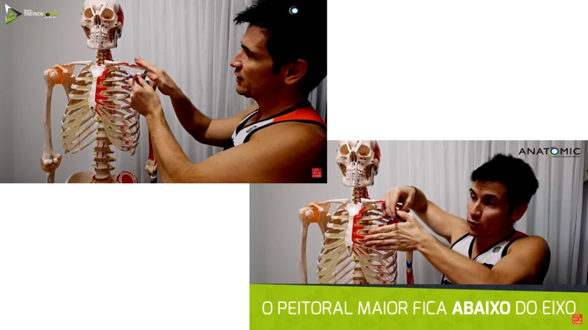 Treino_em_foco_par_anatomico_antagonico_peitoral_deltoide