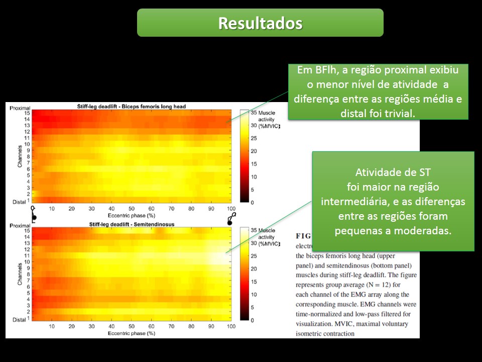 Ativação_muscular_stiff_flexão_nórdica_eletromiografia