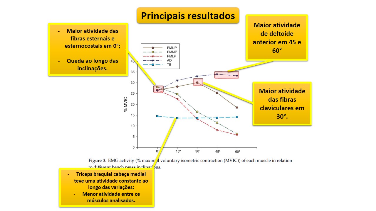 Supino Reto, Inclinado ou Declinado?? Qual a diferença??