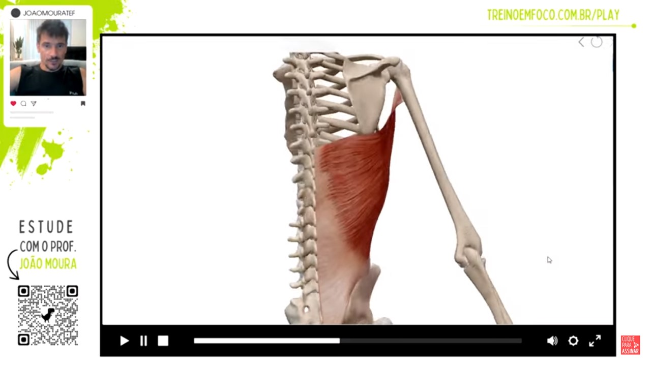 latissimo_do_dorso_grande_dorsal_anatomia