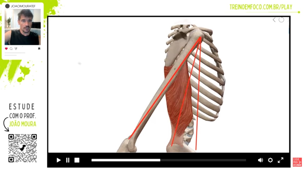 latissimo_do_dorso_grande_dorsal_anatomia