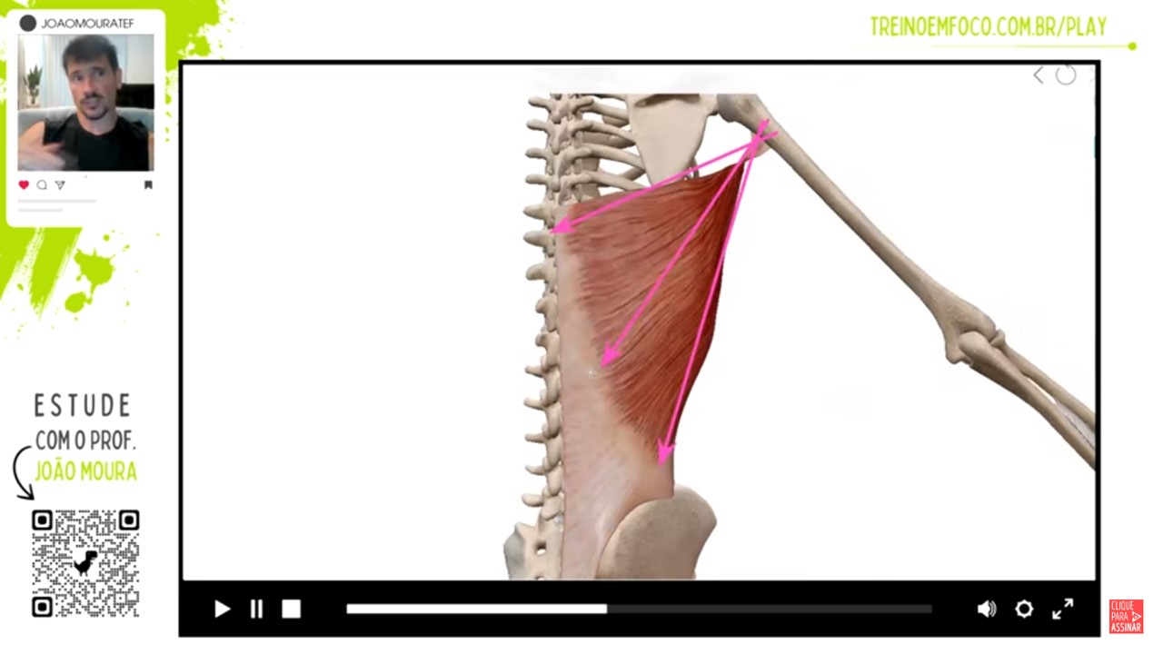 Latíssimo_do_dorso_anatomia_movimentos