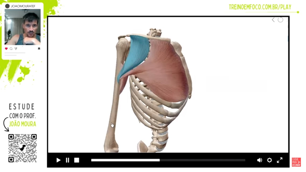Peitoral_maior_anatomia_flexão_extensão_do_ombro