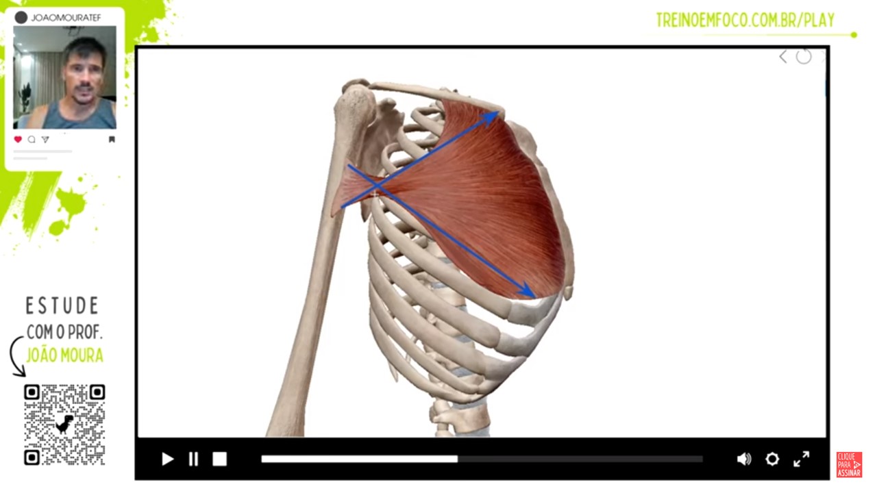 Peitoral_maior_anatomia_flexão_extensão_do_ombro