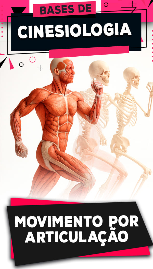 5 - Movimentos por articulação