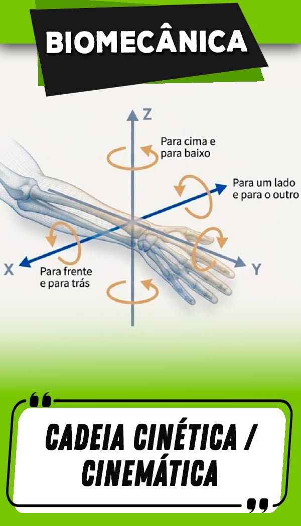 1 - Cadeia Cinemática